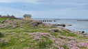 Sommarjobb som Turistinformatör i Torekov