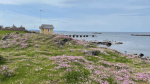 Torekovs Turist- och Badförening