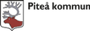 Sommarjobb som Kommunikatör i Piteå