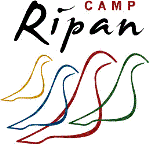 Sökes: Sommarbartender vid Camp Ripan