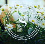 Strömma Krog och Kanalbar AB