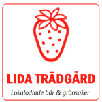 Sommarjobb: Jordgubbsförsäljare i Söderköping